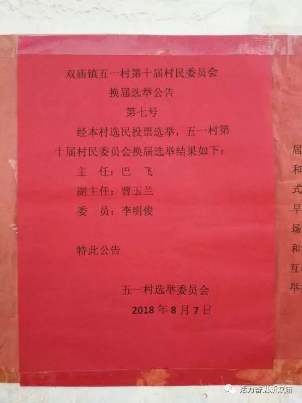 阳洼村委会人事任命揭晓，新一轮力量推动乡村发展启航