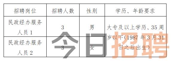 江北区民政局最新招聘信息详解